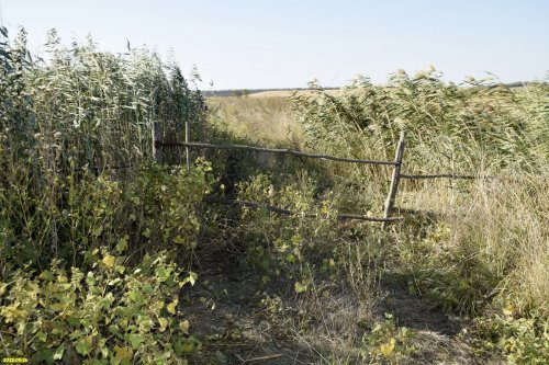 Перспективная ООПТ Бейсугские пойменные луга